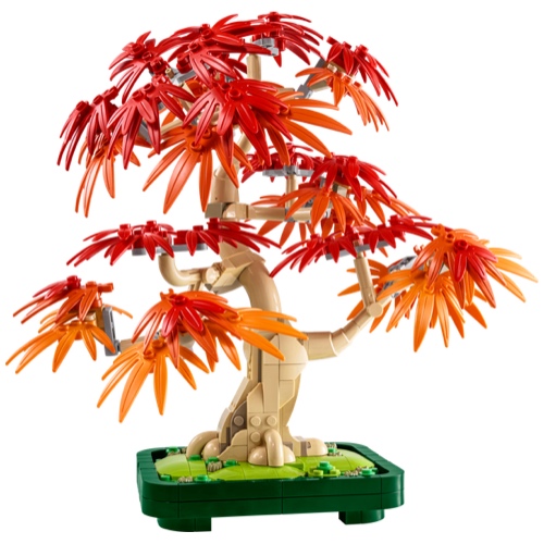 LEGO Botanicals 10348 Japanse Esdoorn Bonsaiboompje - Afbeelding 2