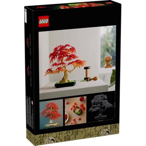 LEGO Botanicals 10348 Japanse Esdoorn Bonsaiboompje - Afbeelding 5