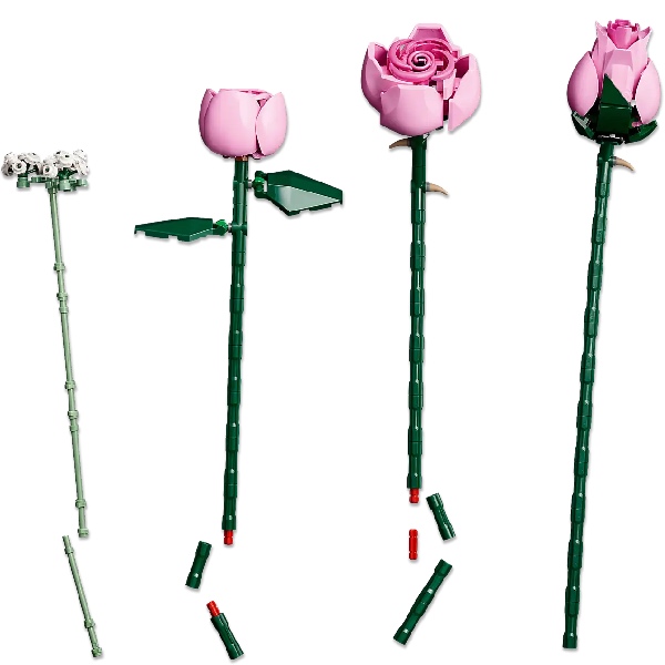 LEGO Botanicals 10374 Roze Rozenboeket - Afbeelding 4