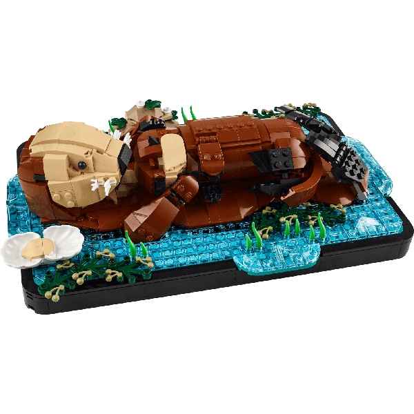 LEGO Ideas 21366 Drijvende Zeeotters - Afbeelding 2