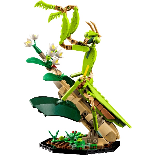 LEGI Ideas 21342 De Insectencollectie - Afbeelding 4