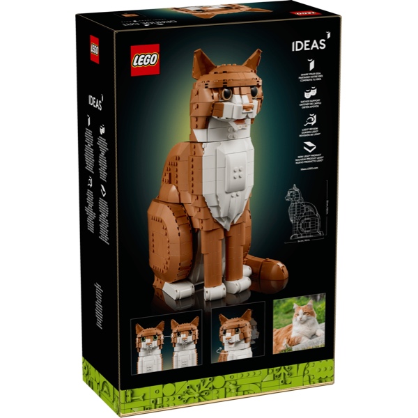 LEGO Ideas 21376 Oranje Kat - Afbeelding 5